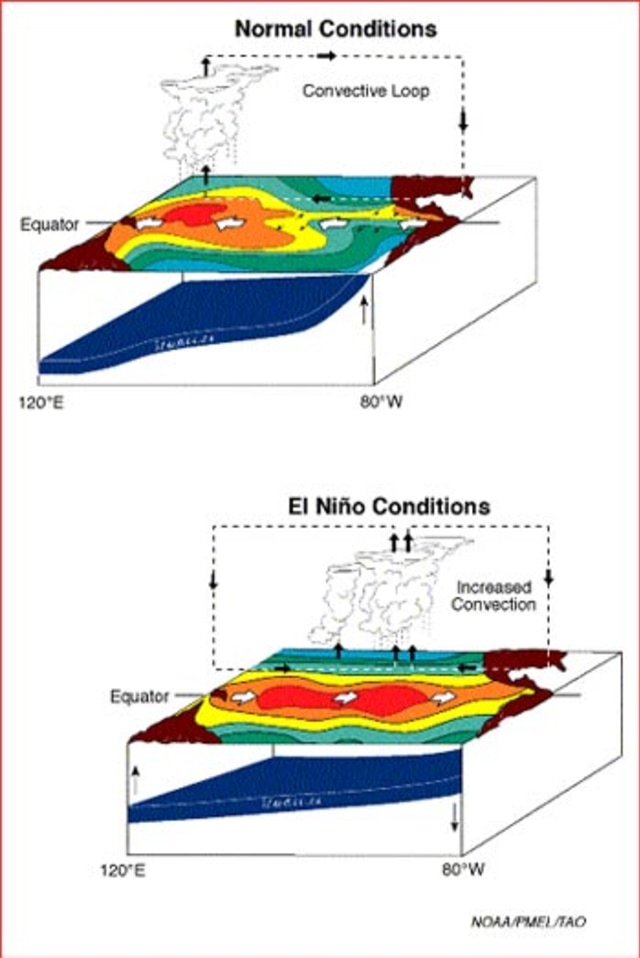 Ilustrasi: Perbedaan kondisi normal dengan ketika El Nino sedang terjadi (Sumber: wikimedia.org)