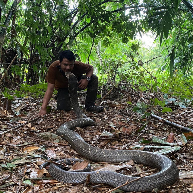 Panji Petualang bertemu lagi dengan Garaga di hutan. Dok; Instagram @panjipetualang_real