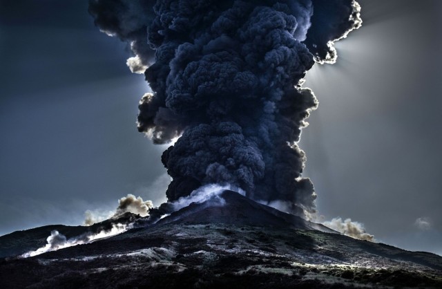 Artspace131/Shutterstock