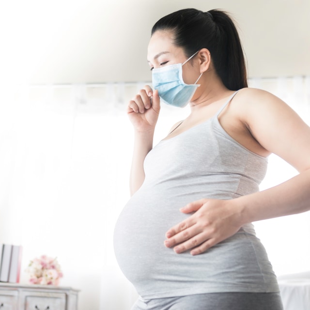 Ilustrasi ibu hamil. Foto: Shutterstock
