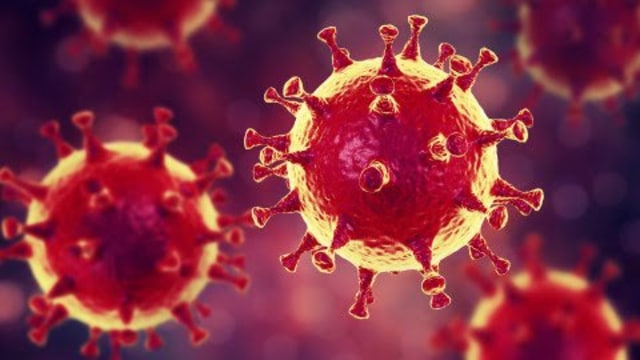 Ilustrasi Virus Corona. Foto: Shutter Stock