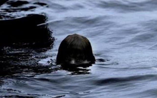 Ilustrasi Antu Banyu, dok: pixabay