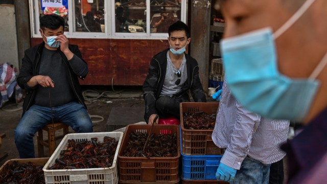 Pedagang menggunakan masker saat menawarkan udang untuk dijual di Pasar Baishazhou Wuhan, Provinsi Hubei, China. Foto: AFP/Hector RETAMAL