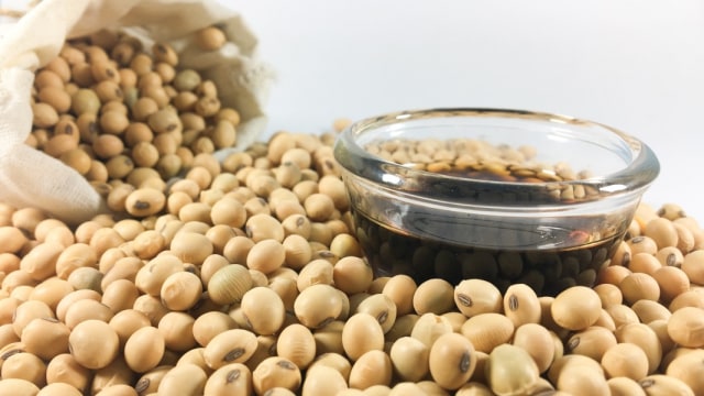 ilustrasi kecap dan kedelai Foto: Shutterstock