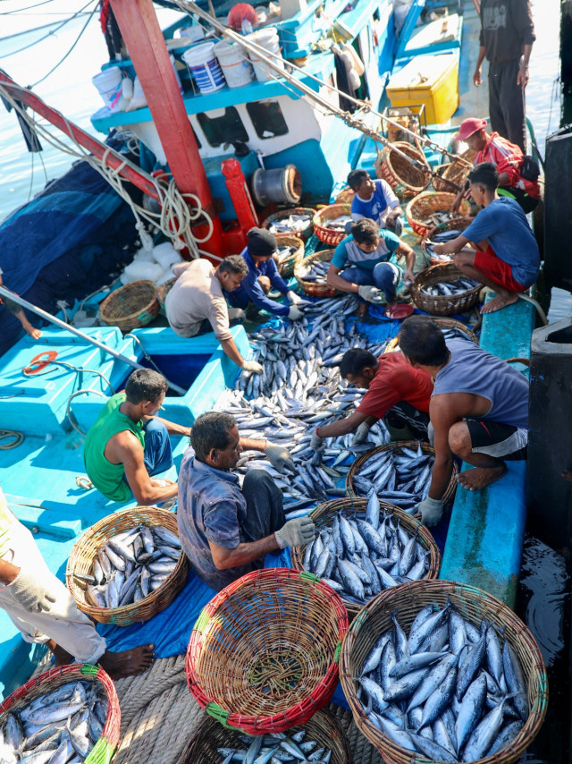 Ikan di PPS Lampulo, Band Aceh. Foto: Suparta/acehkini