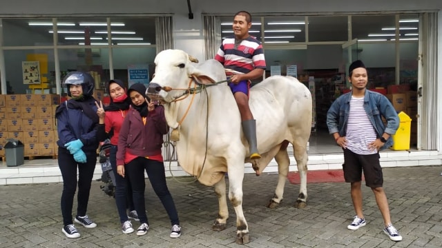 Viral seorang pria di Magetan, Jatim, belanja ke minimarket naik sapi. Foto: Dok. Feri Cahyo Nugroho