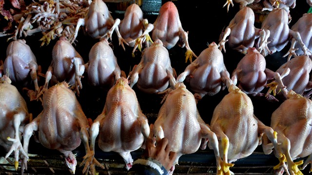 Pedagang menjual ayam potong di pasar Minasa Maupa, Kabupaten Gowa, Sulawesi Selatan. Foto: ANTARA FOTO / Abriawan Abhe