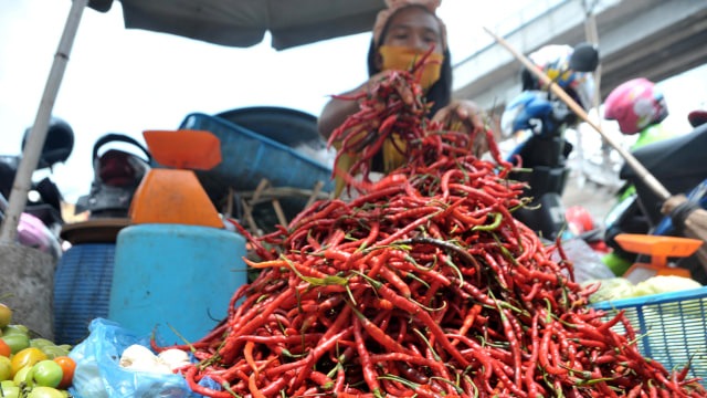 Penjual menunjukkan stok cabai dagangannya di Pasar Palima Palembang,Sumsel. Foto: ANTARA FOTO/Feny Selly