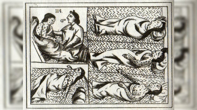 Ilustrasi Cacar di Meksiko | Kredit Foto: Commons Wikimedia