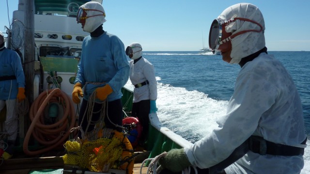 Para penyelam perempuan di Jepang. Foto: ANTOINE BOUTHIER / AFP