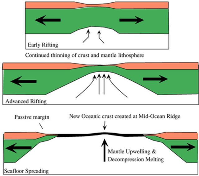 Ilustrasi Mekanisme Sea Floor Spreading (Doubek, n.d)