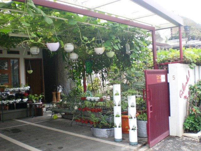 Bercocok Tanam di Lahan Sempit | Wikimedia