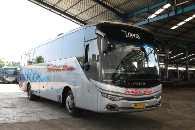 Bus Sumber Alam Foto: dok. Traveloka