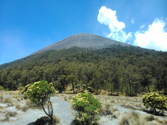 Suasana Puncak Mahameru di 2015