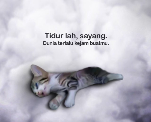 Gambar obituari untuk kucing yang mati setelah disiksa 3 perempuan yang viral di Facebook. Foto : Tuan Abam Cedric. 