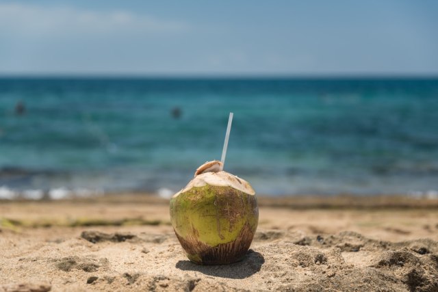 Ilustrasi Kelapa Muda foto: Unsplash