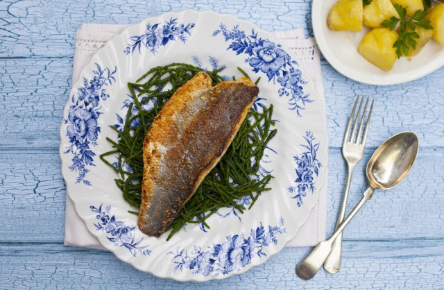 Ilustrasi kulit ikan Foto:  Shutter Stock