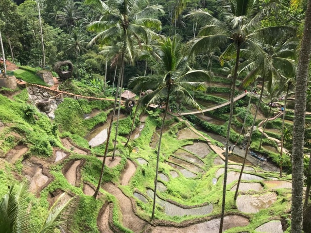Ubud, Bali. Foto: Kemenparekraf