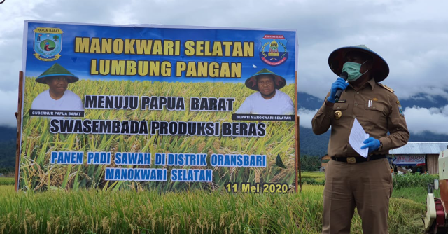 Gubernur Papua Barat Dominggus Mandacan saat melakukan Pencanangan Ketahanan Pangan Kampung dengan Penanaman Pangan Lokal di Kampung Muari, Distrik Oransbari, Kabupaten Manokwari Selatan, Senin 11 Mei 2020. (Yayasan EcoNusa/Balitbangda Provinsi Papua Barat)