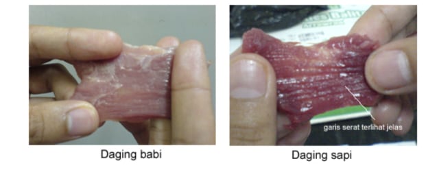 Perbedaan Daging Babi dan Sapi. Foto: Dok. SEAFAST IPB