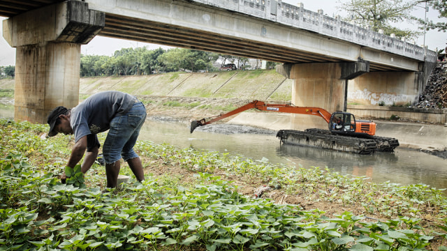 Ilustrasi petani kota. Foto: Iqbal Firdaus/kumparan