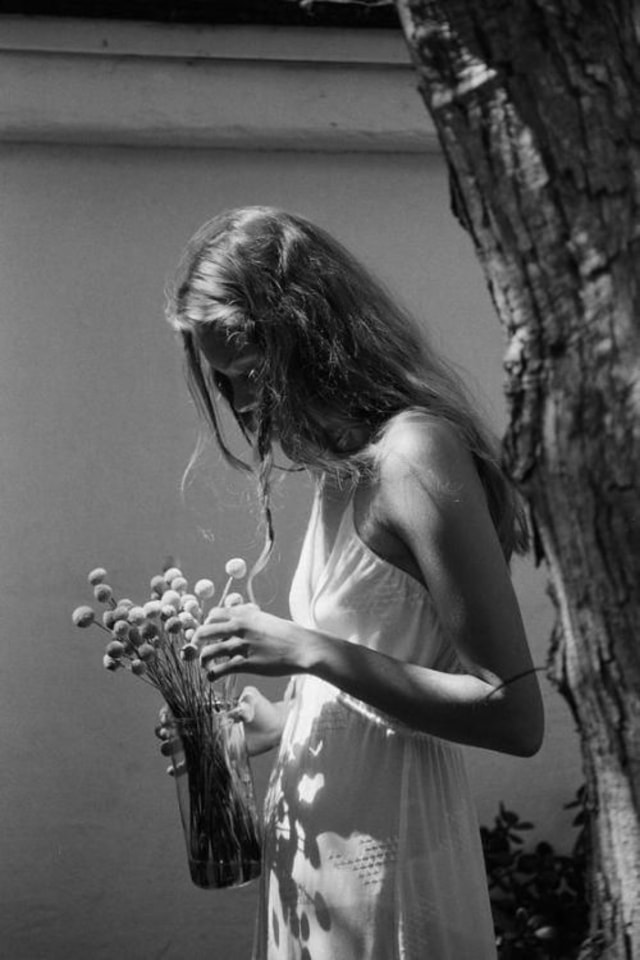 Photo By : Pinterest