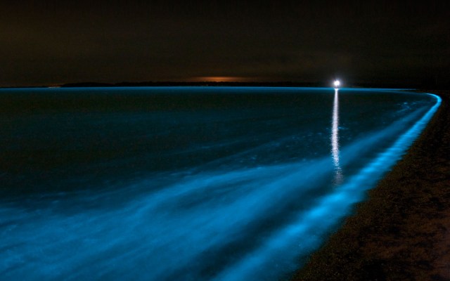 Bioluminesensi di Danau Gippsland | Foto oleh Bing Gallery dari Flickr
