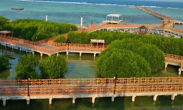 Kawasan Wisata Edukasi Mangrove, TN Kepulauan Seribu, Pulau Pramuka, Sebelum Terjadinya Pandemi Corona. Foto: Tim Jelajah 54 TN Indonesia 