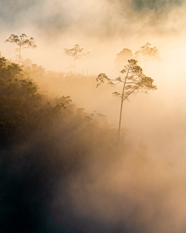 Sunrise Point Cukul di Bandung yang menawan Foto: Shutterstock