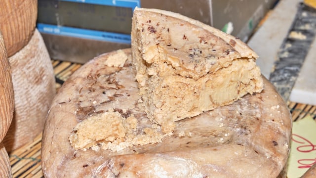 Casu Marzu adalah keju khas dari Sardinia Foto: Shutterstock