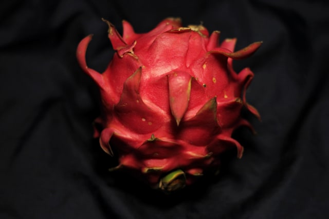 Ilustrasi buah naga. Foto: Irfan Adi Saputra/kumparan
