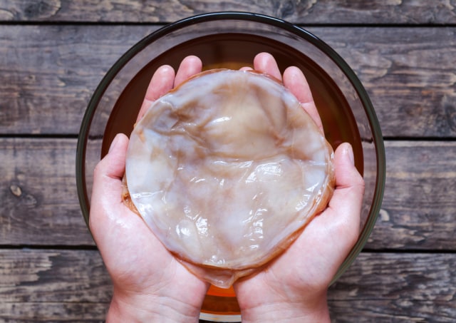 Ilustrasi serat kombucha Foto: dok.Shutterstock