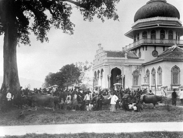 Kerbau-kerbau disiapkan untuk disembelih pada akhir bulan Ramadan di Masjid Raya Baiturrahman, Kuta Raja (sekarang Banda Aceh). Foto: Wikipedia/ Tropenmuseum