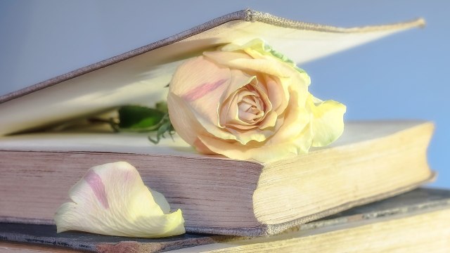 Buku sebagai jendela dunia. Foto: Pixabay