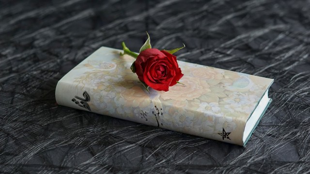 Ilustrasi buku puisi. Foto: Pixabay