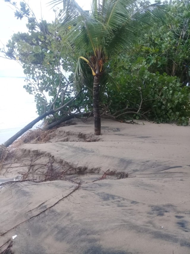 Banjir rob di pantai Kuta, Bali. Foto: Dok. Istimewa