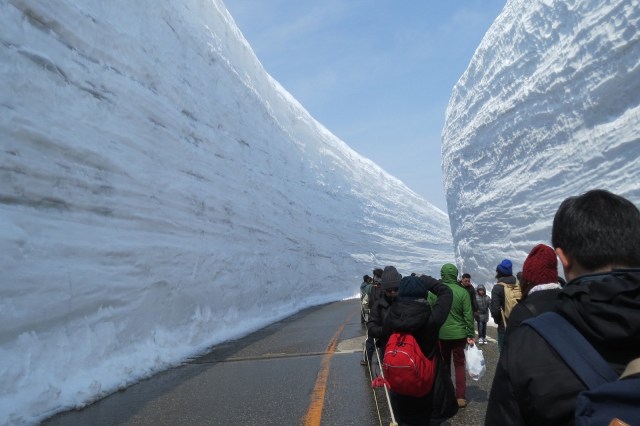 Dinding Salju di Rute Pegunungan Tateyama Kurobe | Foto oleh dancingnomad3 di Flickr.