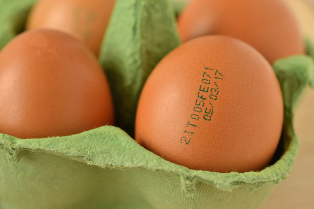 Ilustrasi telur kedaluwarsa Foto: dok.shutterstock