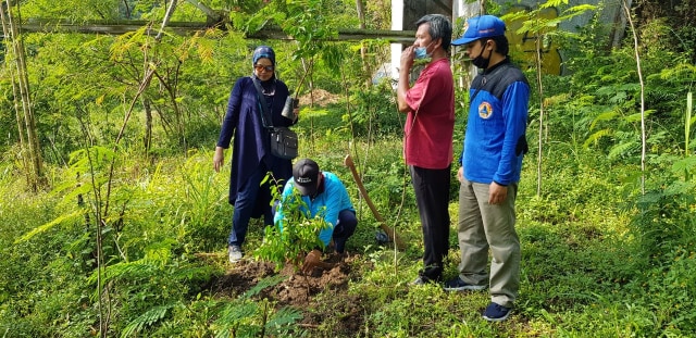 Tri Sutikno, Calon Lurah Purwobinangun, saat menanam bibit pohon beringin di bantaran Sungai Boyong, Sabtu (6/6/2020). Foto: Sandra.