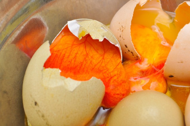 Ilustrasi telur busuk Foto: dok.Shutterstock