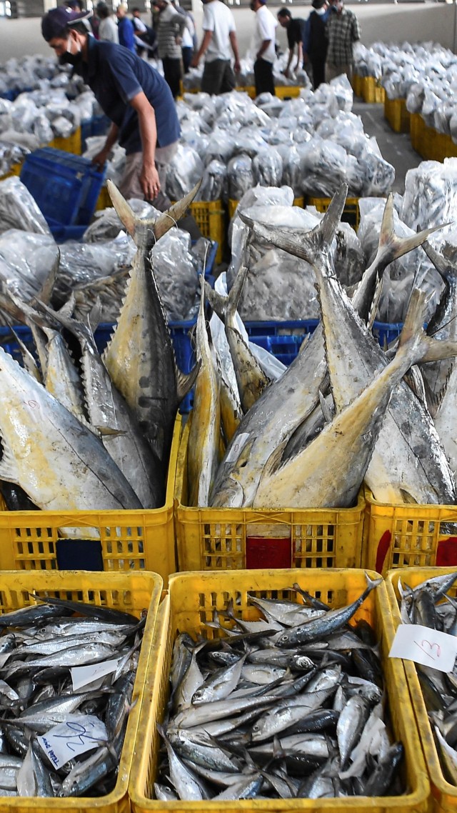 Sejumlah keranjang berisi ikan di Tempat Pelelangan Ikan (TPI) di Muara Angke, Jakarta Utara. Foto: Nova Wahyudi/ANTARA FOTO