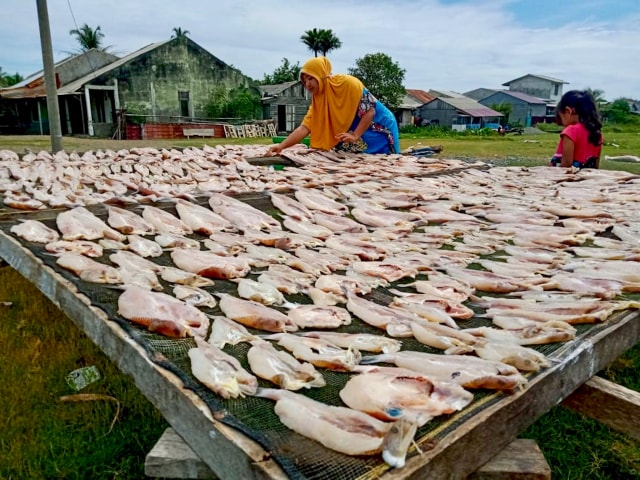 Menjemur ikan-ikan yang telah dibelah di bawah sinar matahari. Foto: Siti Aisyah/acehkini