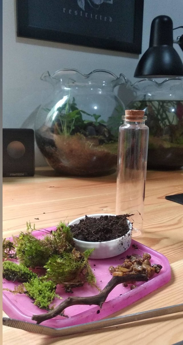 Tumbuhan, batu dan kayu untuk membuat aquascape. Foto: Dok Amirul Hakki