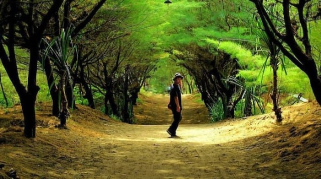 Pantai Goa Cemara, Jogja. Foto: Happytour.id