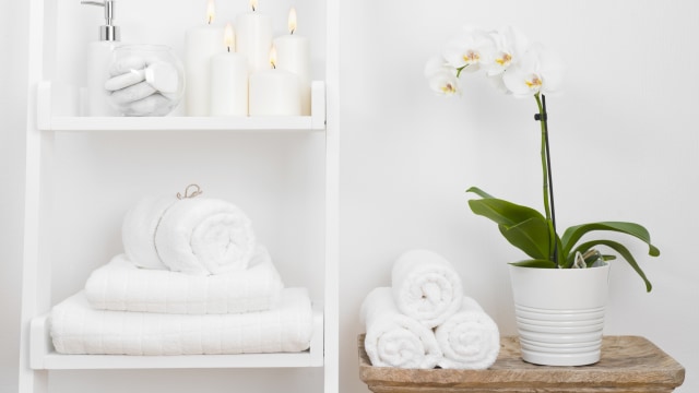  Ilustrasi tanaman di kamar mandi. Foto: Shutterstock