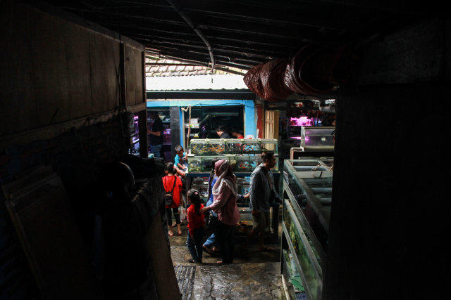 Pengunjung pasar satwa splendid melewati lorong di kawasan ikan. Di pasar ini juga banyak penjual beragam jenis ikan.