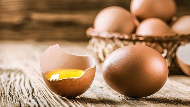 Ilustrasi Ciri-ciri Telur Infertil Foto: shutterstock