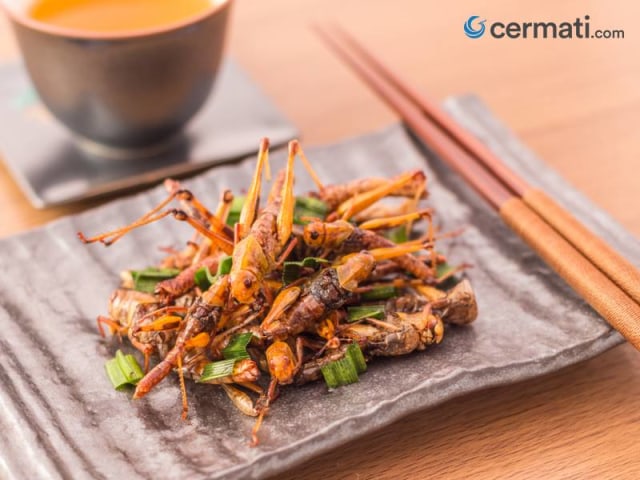 Penasaran Sama Kuliner Unik dan Ekstrim? Kamu Wajib Coba 5 Olahan Hama Lezat Ini