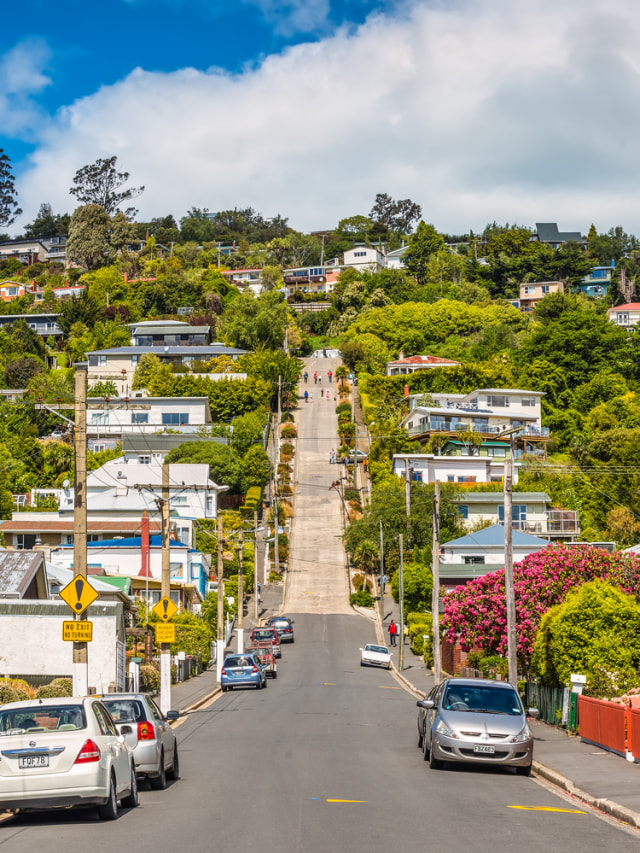 Baldwin Street, jalan paling curam di dunia Foto: Shutter Stock