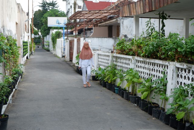 Suasana kampung sayur di Kampung Bausasran Kota Yogyakarta. Foto: Arfiansyah Panji Purnandaru/kumparan